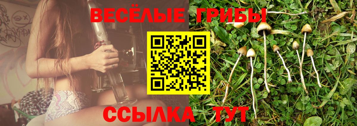 Псилоцибиновые грибы Psilocybine cubensis Грозный