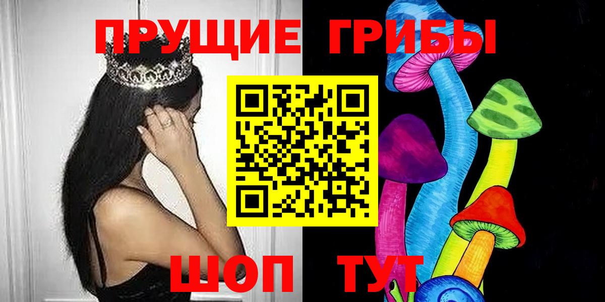 Грозный  Псилоцибиновые грибы GOLDEN TEACHER  Галлюциногенные грибы GOLDEN TEACHER  Вход с VPN 
